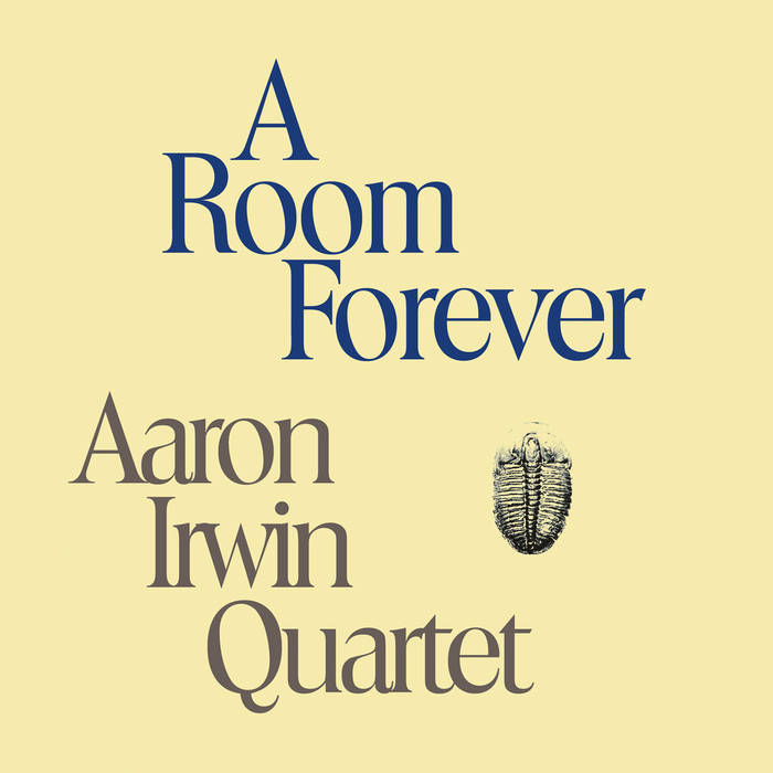 AARON IRWIN - A Room Forever cover 