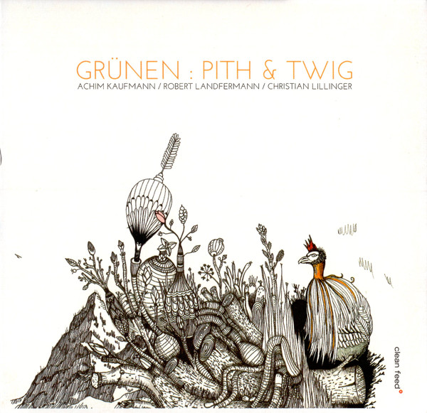 ACHIM KAUFMANN - Grünen : Pith and Twig cover 