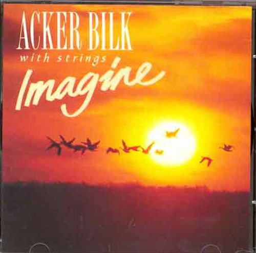 ACKER BILK - Imagine cover 