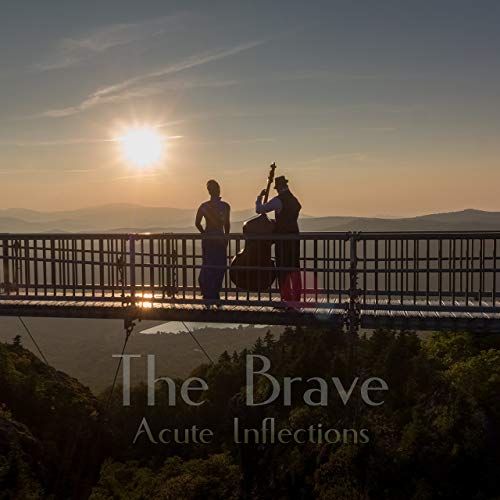ACUTE INFLECTIONS - The Brave cover 