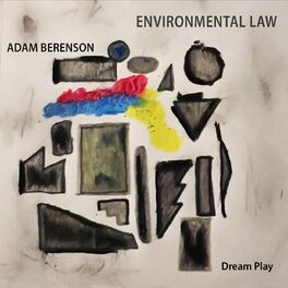 ADAM BERENSON - Environmental Law cover 