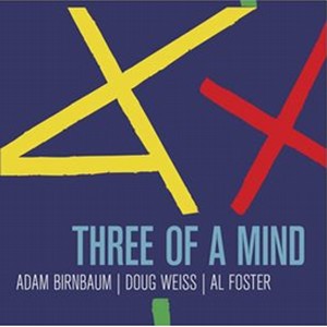 ADAM BIRNBAUM - Adam Birnbaum, Doug Weiss & Al Foster : Three of a Mind cover 