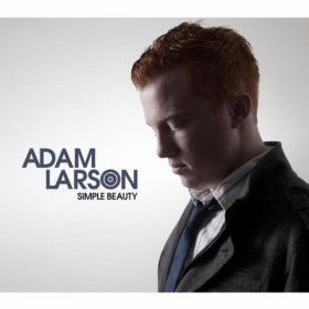 ADAM LARSON - Simple Beauty cover 