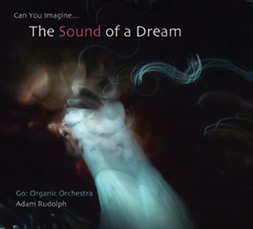 ADAM RUDOLPH / GO: ORGANIC ORCHESTRA - Go: Organic Orchestra : Can You Imagine… The Sound Of A Dream cover 