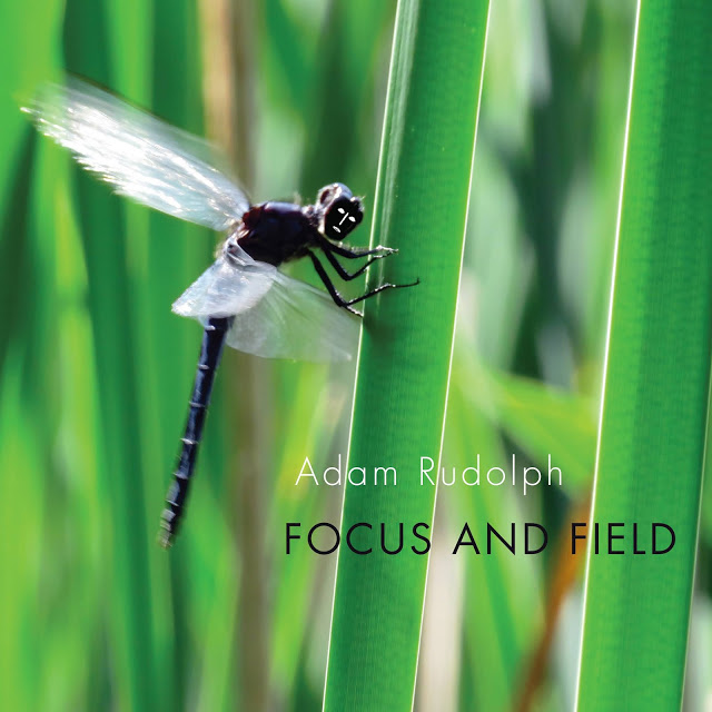 ADAM RUDOLPH / GO: ORGANIC ORCHESTRA - Focus and Field cover 