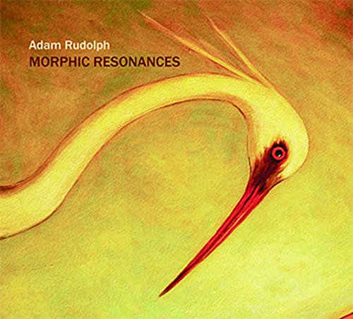 ADAM RUDOLPH / GO: ORGANIC ORCHESTRA - Morphic Resonances cover 