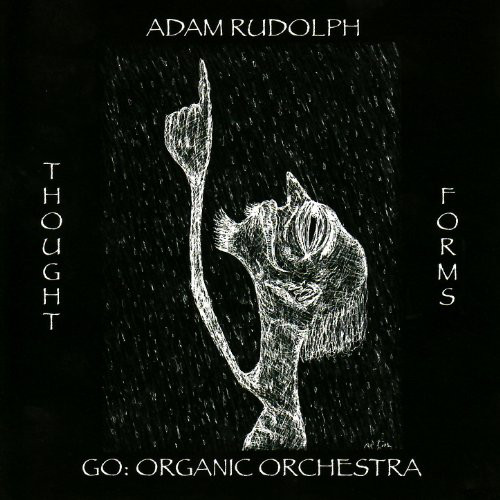 ADAM RUDOLPH / GO: ORGANIC ORCHESTRA - Go: Organic Orchestra ‎: Thought Forms cover 