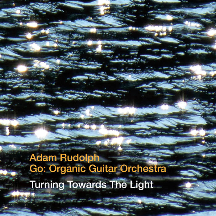 ADAM RUDOLPH / GO: ORGANIC ORCHESTRA - Go: Organic Orchestra ‎: Turning Towards The Light cover 