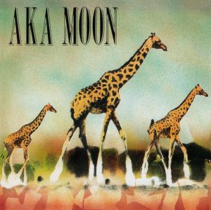 AKA MOON - Aka Moon cover 