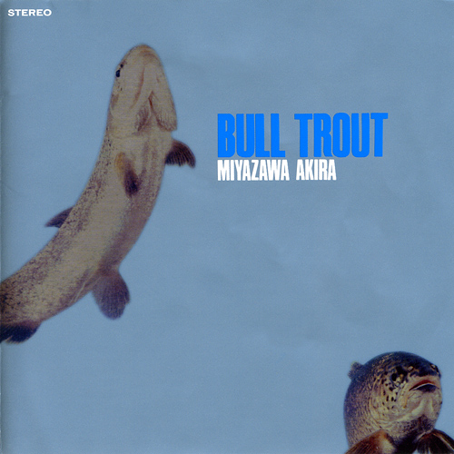 AKIRA MIYAZAWA - Bull Trout cover 