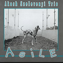 AKOSH SZELEVÉNYI (AKOSH S.) - Akosh Szelevenyi Trio : Asile cover 