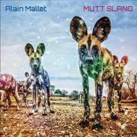 ALAIN MALLET - Mutt Slang cover 