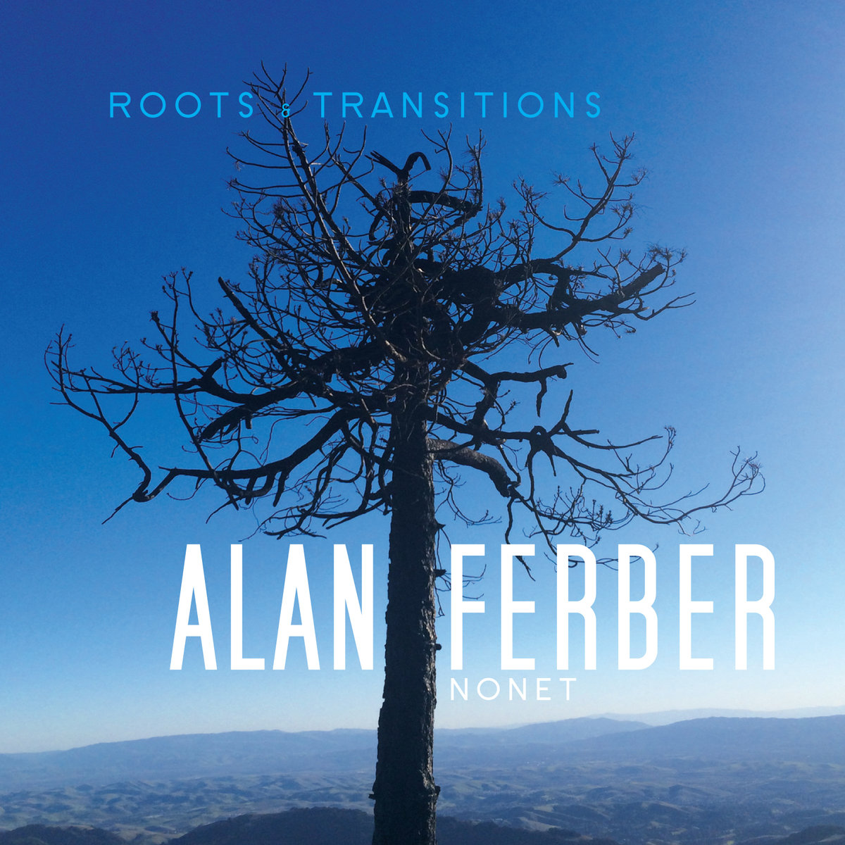 ALAN FERBER - Roots & Transitions cover 