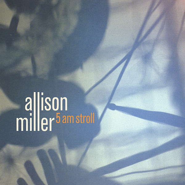ALLISON MILLER - 5 am Stroll cover 