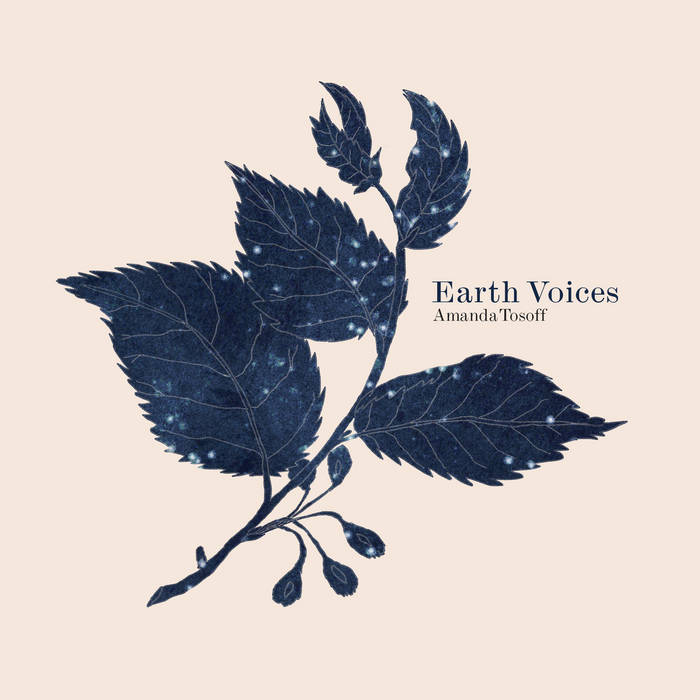 AMANDA TOSOFF - Earth Voices cover 