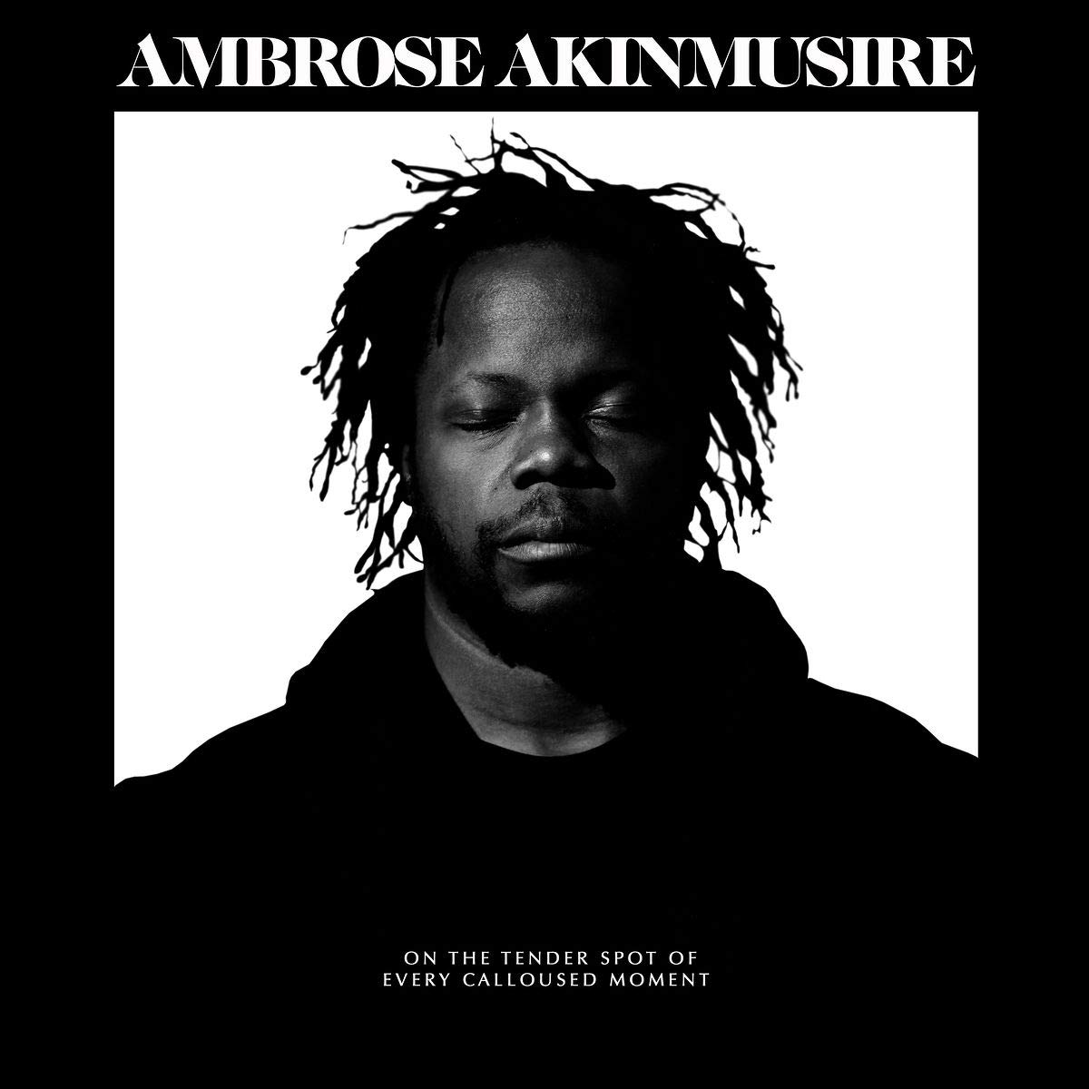 AMBROSE AKINMUSIRE - On the Tender Spot of Every Calloused Moment cover 