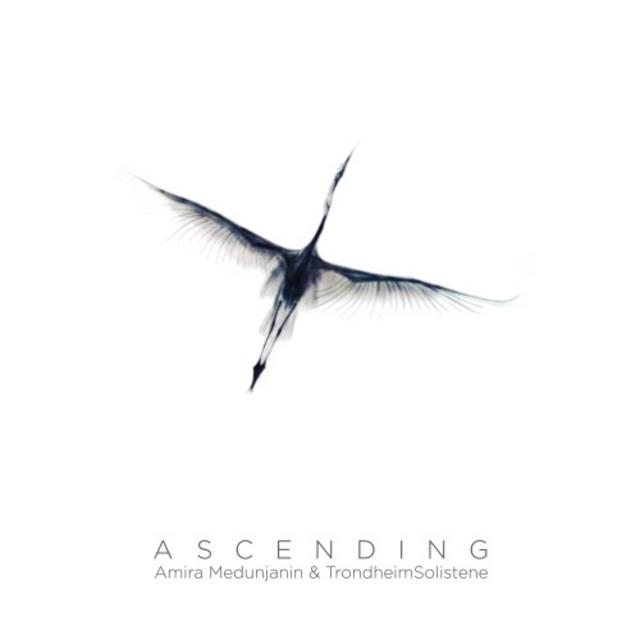 AMIRA MEDUNJANIN - Amira Medunjanin & Trondheim Solistene : Ascending cover 