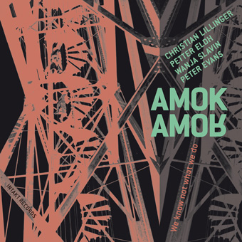 AMOK AMOR - We Know Not What We Do cover 