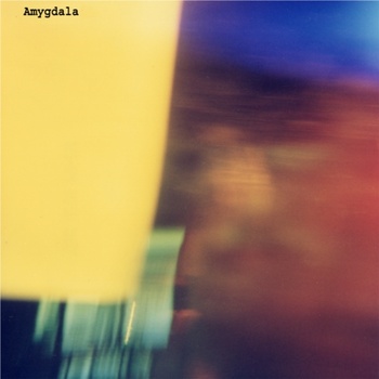 AMYGDALA - Amygdala cover 