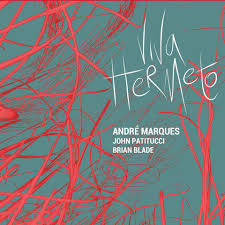 ANDRÉ MARQUES - André Marques, John Patitucci, Brian Blade : Viva Hermeto cover 