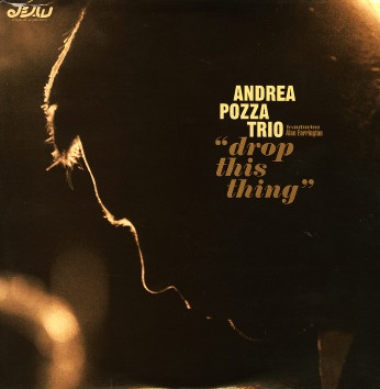ANDREA POZZA - Drop This Thing cover 