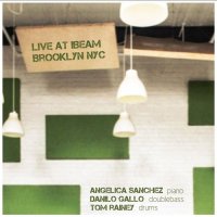 ANGELICA SANCHEZ - Angelica Sanchez, Danilo Gallo, Tom Rainey : Live At Ibeam, Brooklyn NYC 2011 cover 