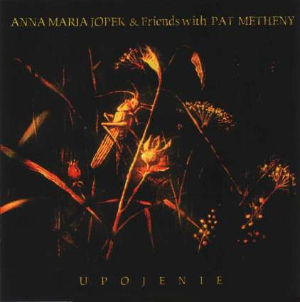 ANNA MARIA JOPEK - Anna Maria Jopek & Pat Metheny : Upojenie cover 