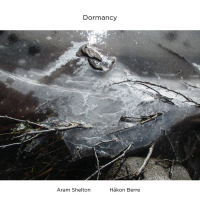ARAM SHELTON - Aram Shelton & Håkon Berre : Dormancy cover 