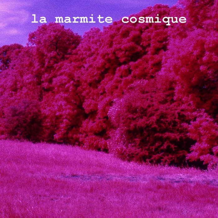 ARNAUD BUKWALD - la marmite cosmique - volume 2 cover 