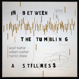 ASSIF TSAHAR - Assif Tsahar, William Parker, Hamid Drake : In Between the Tumbling a Stillness cover 