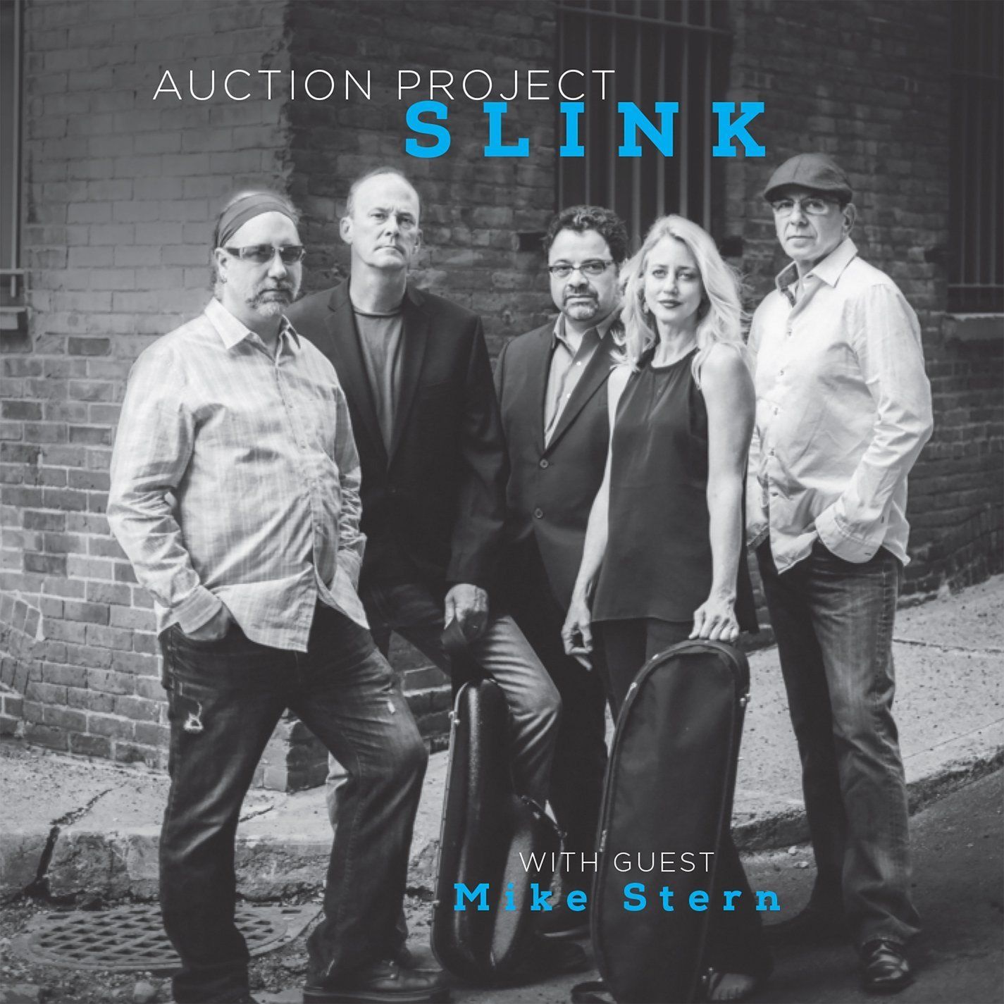 AUCTION PROJECT - Slink cover 
