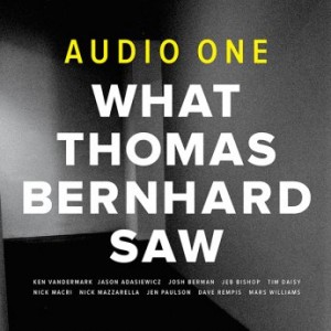 AUDIO ONE - What Thomas Bernhard Saw cover 