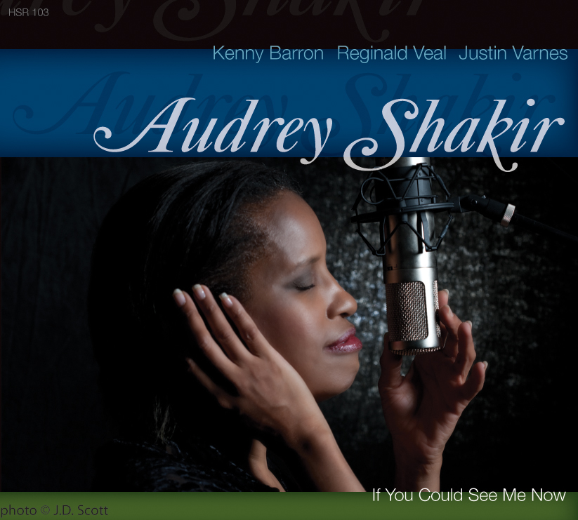 AUDREY SHAKIR - If You Could See Me Now cover 