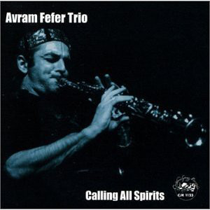 AVRAM FEFER - Avram Fefer Trio ‎: Calling All Spirits cover 