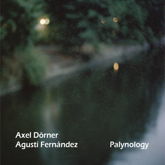 AXEL DÖRNER - Axel Dörner & Agustí Fernández : Palynology cover 