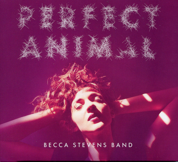 BECCA STEVENS - Perfect Animal cover 