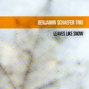 BENJAMIN SCHÄFER - Leaves Like Snow cover 