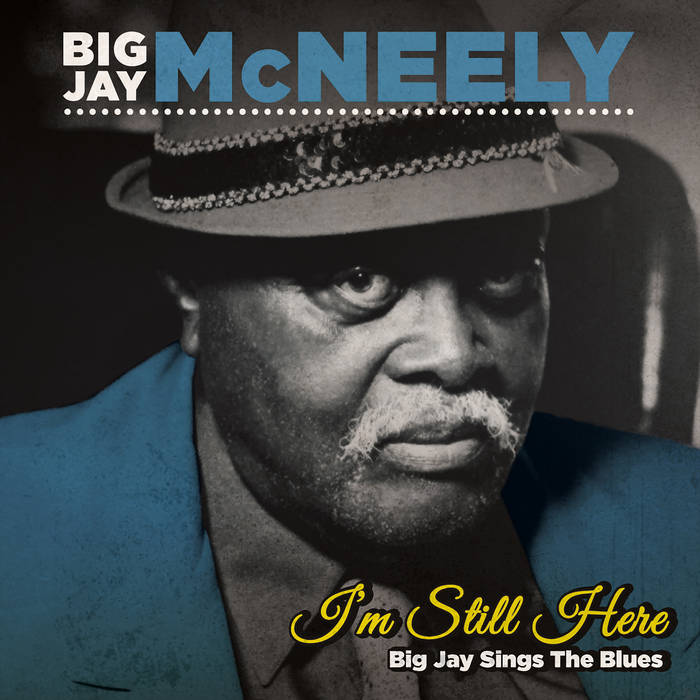 BIG JAY MCNEELY - I’m Still Here – Big Jay Sings the Blues cover 