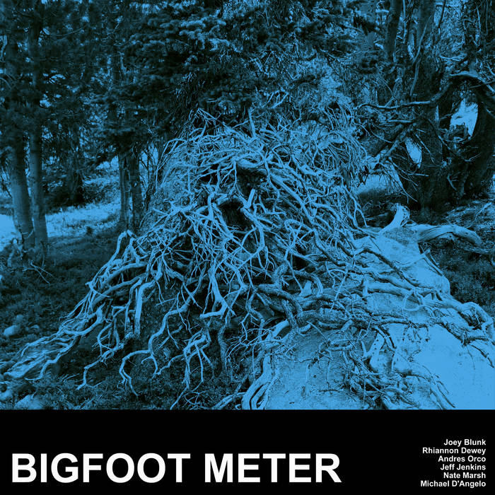 BIGFOOT METER - Bigfoot Meter cover 