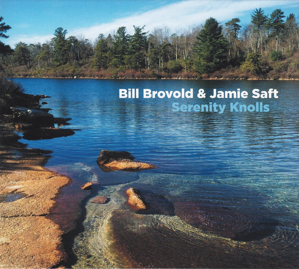 BILL BROVOLD - Bill Brovold & Jamie Saft : Serenity Knolls cover 