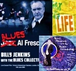 BILLY JENKINS - Blues Bonanza cover 