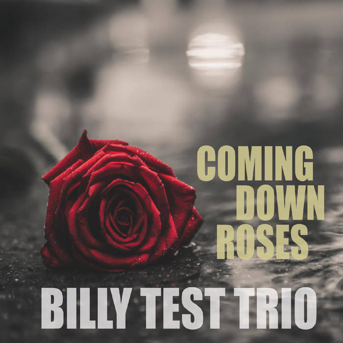 BILLY TEST - Coming Down Roses cover 