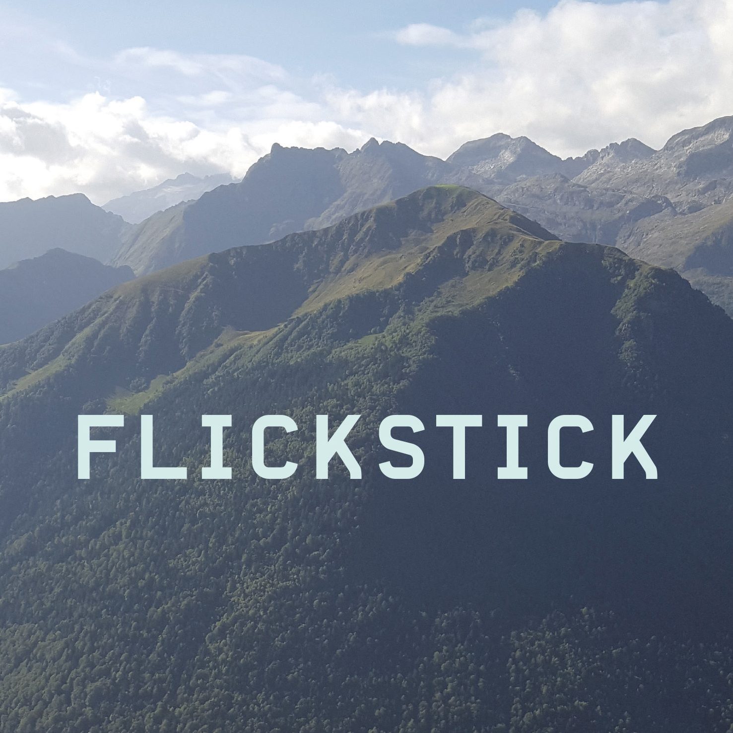 BIRGITTA FLICK - Flickstick cover 