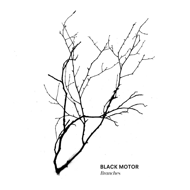 BLACK MOTOR - Branches cover 