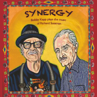 BOBBY KAPP - Synergy : Bobby Kapp Plays the Music of Richard Sussman cover 