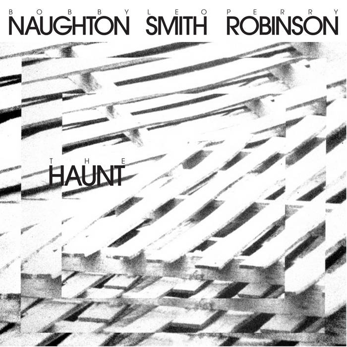 BOBBY NAUGHTON - Bobby Naughton, Wadada Leo Smith, Perry Robinson : The Haunt cover 