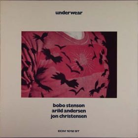 BOBO STENSON - Underwear cover 