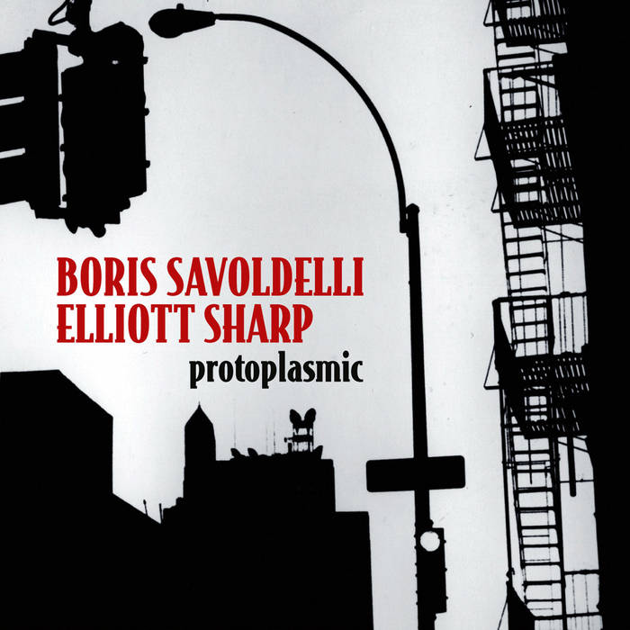 BORIS SAVOLDELLI - Boris Savoldelli & Elliott Sharp : Protoplasmic cover 