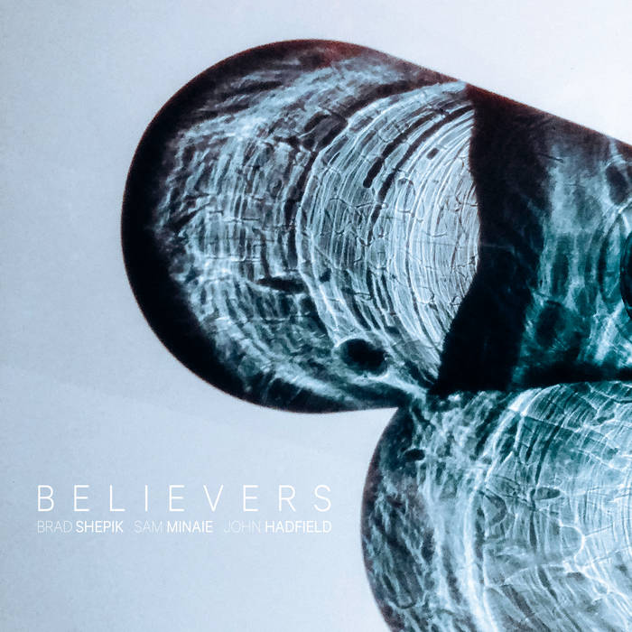 BRAD SHEPIK - Brad Shepik, Sam Minaie, John Hadfield : Believers cover 