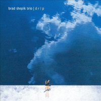 BRAD SHEPIK - Drip cover 